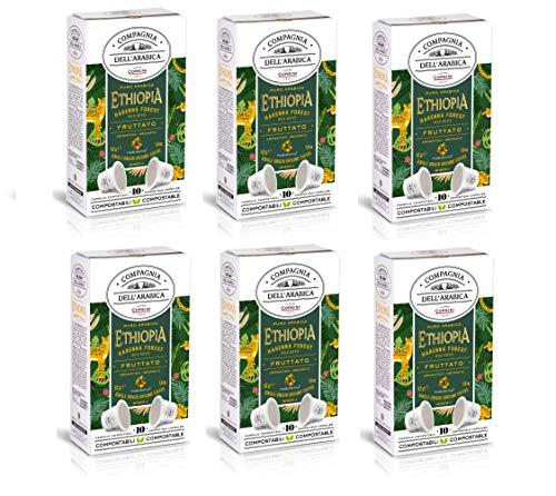 Caffè Corsini Compagnia Dell'Arabica 100% Arábica Etiopía Harenna Coffee 6 Pack De 10 Cápsulas 540 g