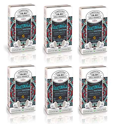 Caffè Corsini Compagnia Dell'Arabica 100% Arabica Guatemala Huehuetenango Highland Coffee 6 Pack De 10 Cápsulas 660 g